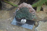 Natural Salrose Cobaltion Dolomite Specimens with Malachite and Heterogenite x 2 From Kakanda, Congo