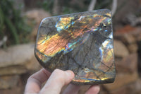 Polished Labradorite Standing Free Forms x 2 From Tulear, Madagascar