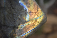 Polished Labradorite Standing Free Forms x 2 From Tulear, Madagascar