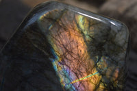 Polished Labradorite Standing Free Forms x 2 From Tulear, Madagascar