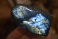 Polished Labradorite Standing Free Forms x 2 From Tulear, Madagascar