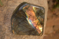 Polished Labradorite Standing Free Forms x 2 From Tulear, Madagascar