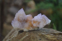 Natural Ametrine Spirit Quartz Clusters x 6 From Boekenhouthoek, South Africa