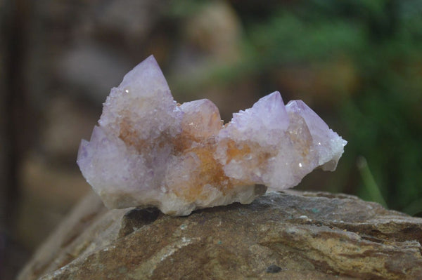 Natural Ametrine Spirit Quartz Clusters x 6 From Boekenhouthoek, South Africa