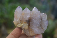 Natural Ametrine Spirit Quartz Clusters x 6 From Boekenhouthoek, South Africa