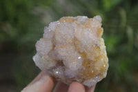 Natural Ametrine Spirit Quartz Clusters x 6 From Boekenhouthoek, South Africa