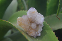 Natural Ametrine Spirit Quartz Clusters x 6 From Boekenhouthoek, South Africa