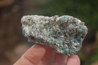 Natural Rare Emerald Mica In Matrix Cobbed Specimens x "Lot" From Mutoko, Zimbabwe