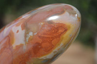 Polished Polychrome Jasper Standing Free Forms x 2 From Madagascar