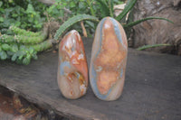 Polished Polychrome Jasper Standing Free Forms x 2 From Madagascar