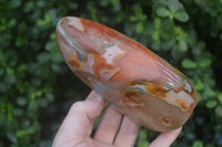 Polished Polychrome Jasper Standing Free Forms x 2 From Madagascar