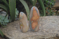 Polished Polychrome Jasper Standing Free Forms x 2 From Madagascar