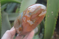 Polished Polychrome Jasper Standing Free Forms x 2 From Madagascar