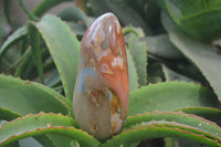 Polished Polychrome Jasper Standing Free Forms x 2 From Madagascar