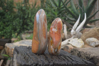 Polished Polychrome Jasper Standing Free Forms x 2 From Madagascar