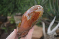 Polished Polychrome Jasper Standing Free Forms x 2 From Madagascar