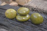 Polished Green Opal Galet - Palm Stones x 12 From Antsirabe, Madagascar