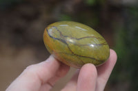 Polished Green Opal Galet - Palm Stones x 12 From Antsirabe, Madagascar