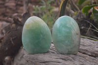 Polished Green Fluorite Standing Free Forms x 2 From Madagascar