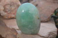 Polished Green Fluorite Standing Free Forms x 2 From Madagascar