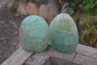 Polished Green Fluorite Standing Free Forms x 2 From Madagascar