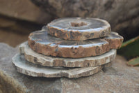 Polished Petrified Wood Slices x 6 From Gokwe, Zimbabwe