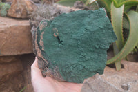 Natural Botryoidal Malachite Specimens x 1 From Tenke Fungurume, Congo