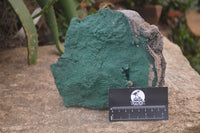 Natural Botryoidal Malachite Specimens x 1 From Tenke Fungurume, Congo