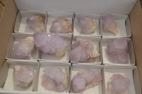 Natural  Ametrine Cactus Flower Spirit Quartz Clusters x 12 From Boekenhouthoek, South Africa