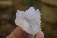 Natural  Ametrine Cactus Flower Spirit Quartz Clusters x 12 From Boekenhouthoek, South Africa