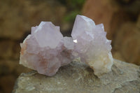 Natural  Ametrine Cactus Flower Spirit Quartz Clusters x 12 From Boekenhouthoek, South Africa