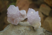 Natural  Ametrine Cactus Flower Spirit Quartz Clusters x 12 From Boekenhouthoek, South Africa