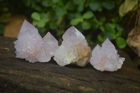 Natural  Ametrine Cactus Flower Spirit Quartz Clusters x 12 From Boekenhouthoek, South Africa