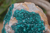 Natural XL Dioptase Specimen x 1 From Likasi, Congo