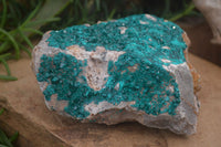 Natural XL Dioptase Specimen x 1 From Likasi, Congo