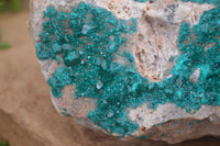 Natural XL Dioptase Specimen x 1 From Likasi, Congo