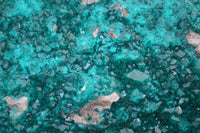 Natural XL Dioptase Specimen x 1 From Likasi, Congo