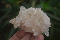 Natural Clear Quartz Crystal Clusters x 12 From Madagascar