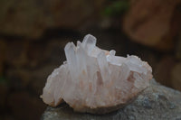 Natural Clear Quartz Crystal Clusters x 12 From Madagascar