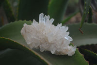 Natural Clear Quartz Crystal Clusters x 12 From Madagascar