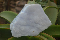 Natural Crystalline Blue Lace Agate Plates x 2 From Namibia