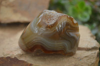 Polished on One Side Red Sashe River Agate Nodules x 6 From Zimbabwe