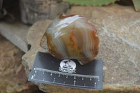 Polished on One Side Red Sashe River Agate Nodules x 6 From Zimbabwe