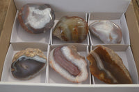 Polished on One Side Red Sashe River Agate Nodules x 6 From Zimbabwe