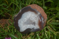 Polished on One Side Red Sashe River Agate Nodules x 6 From Zimbabwe