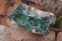 Natural XL Silky Malachite Specimen x 1 From Kasompe, Congo