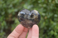 Polished Iolite Hearts x 12 From Ambatofinandrahana, Madagascar