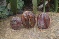 Polished Red Podocarpus Petrified Wood Standing Free Forms x 3 From Mahajanga, Madagascar