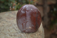 Polished Red Podocarpus Petrified Wood Standing Free Forms x 3 From Mahajanga, Madagascar