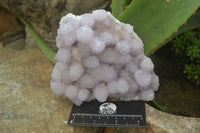 Natural Amethyst Spirit Quartz Clusters x 2 From Boekenhouthoek, South Africa